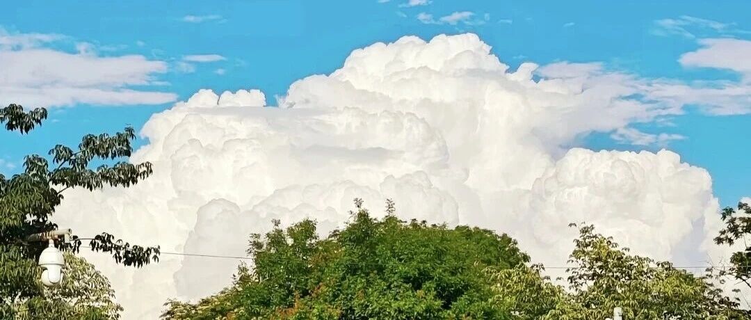 AI现在到底有泡沫吗？如何躲开泡沫？